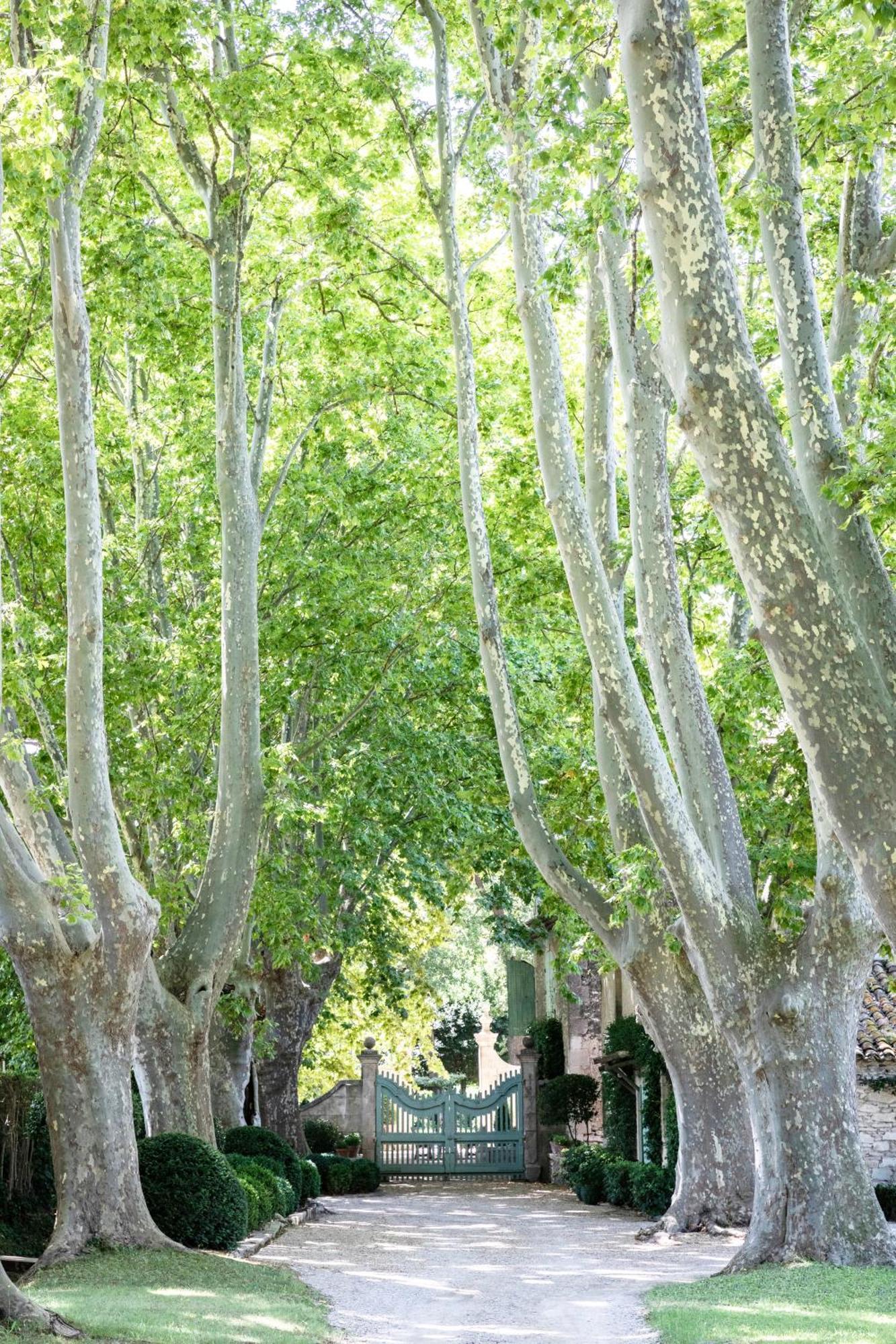 Domaine De Chalamon Bed and Breakfast Saint-Rémy-de-Provence Eksteriør billede